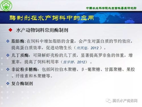 酶制剂在水产动物营养与保健中的潜质 张铁鹰研究员观点与项目策划探索